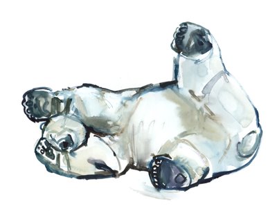Snow Rub (Polar Bear) by Mark Adlington