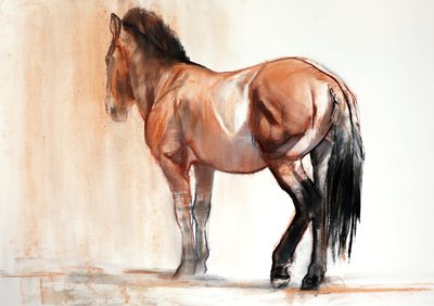 Stand (Przewalski) by Mark Adlington