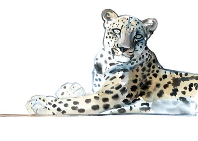 Tilt (Arabian Leopard) by Mark Adlington