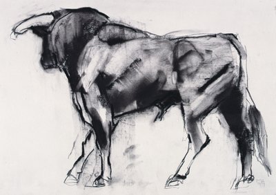 Toro Azul, study by Mark Adlington