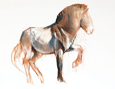 Turning (Przewalski) by Mark Adlington