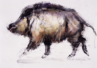 Wild Boar by Mark Adlington