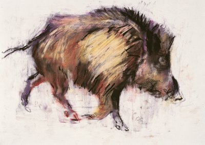 Wild Boar Trotting, 1999 by Mark Adlington