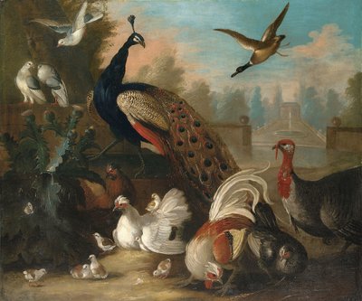 A Peacock and Other Birds in an Ornamental Landscape by Marmaduke Cradock