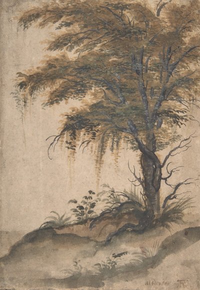 Study of a Tree by Marten van Valckenborch