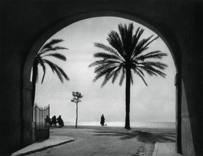 Quai des États-Unis, Nice, France by Martin Hurlimann