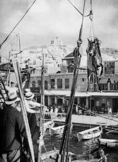 The Shipping of Mules, Syros Island, Greece, 1937 by Martin Hurlimann