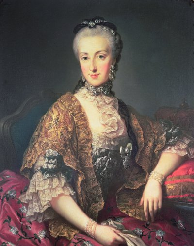 Archduchess Maria Anna Habsburg-Lothringen, called Marianne (1738-89) by Martin II Mytens or Meytens