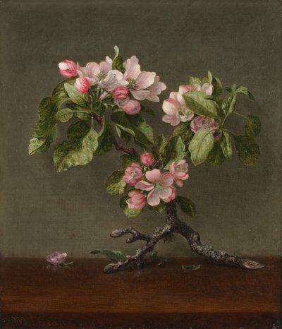 Apple Blossoms by Martin Johnson Heade