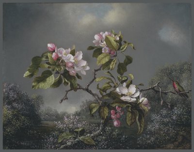 Apple Blossoms and Hummingbird, 1871 by Martin Johnson Heade