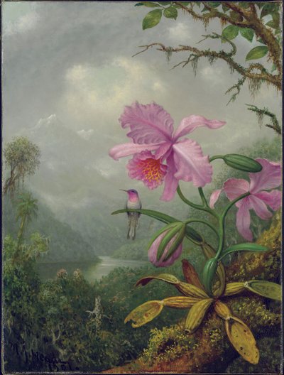 Hummingbird Perched on an Orchid Plant by Martin Johnson Heade