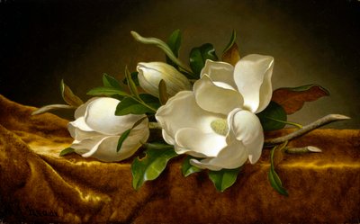 Magnolias on Golden Velvet Cloth by Martin Johnson Heade