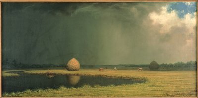 Salt Marsh Hay, c.1865 by Martin Johnson Heade