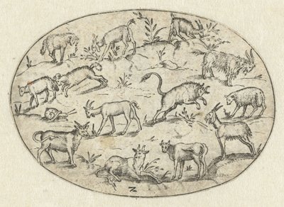 Oval with Thirteen Goats by Martin Pleginck