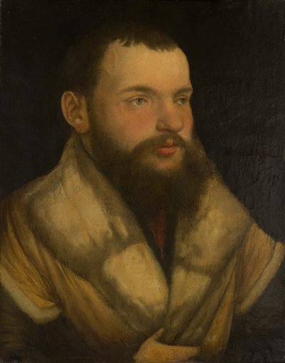 Portrait of a Man, 1520-30 by Martin Schaffner