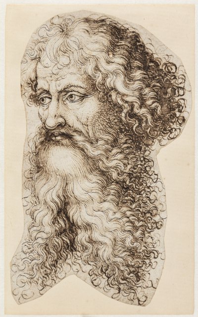 Bearded Man