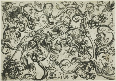 Vine Ornament with Parrots and Birds by Martin Schongauer