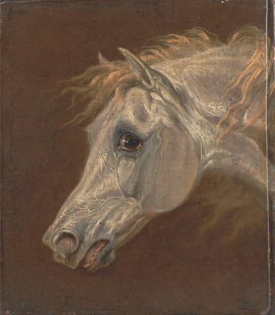 Head of a Grey Arabian Horse by Martin Theodore Ward