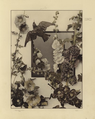 One of Martin Gerlach’s Festons und Decorative Gruppen by Martin senior Gerlach