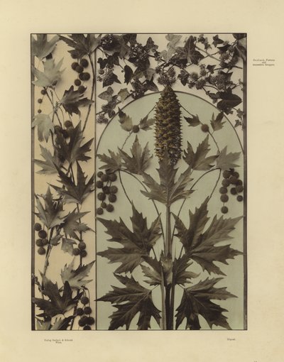 One of Martin Gerlach’s Festons und Decorative Gruppen by Martin senior Gerlach