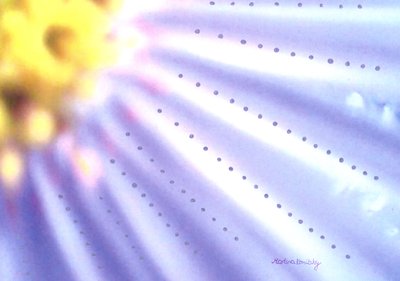 Blue Flower by Martina Konitzky