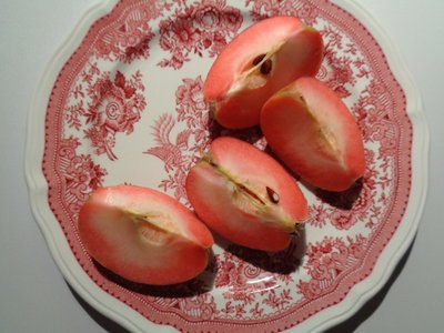 Porcelain Plate by Villeroy and Boch with Red Apple by Martina Konitzky