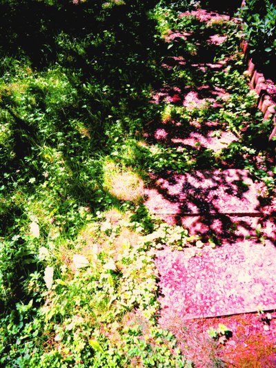 Prince and Princess or Grass and Garden Path by Martina Konitzky