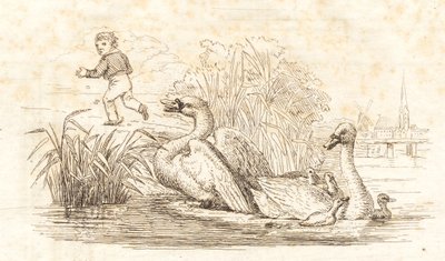 Illustration for 
