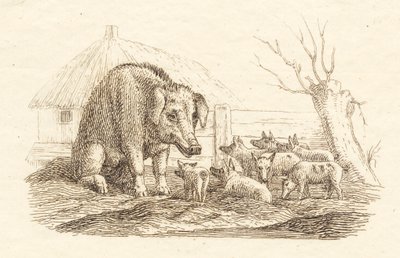 Illustration for 