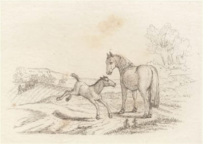 Illustration for 