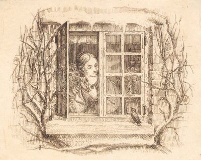 Illustration for 