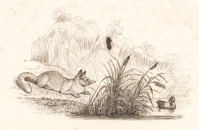 Illustration for 