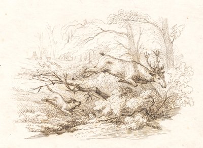 Illustration for 