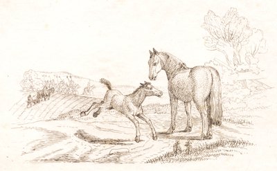 Illustration for 