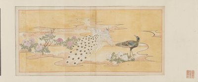 Draft Sketch for a Screen Painting by Maruyama Okyo
