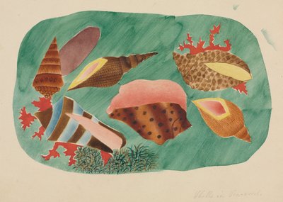 Shells in Seaweed by Mary Altha Nims