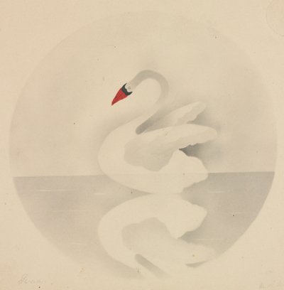 Swan by Mary Altha Nims