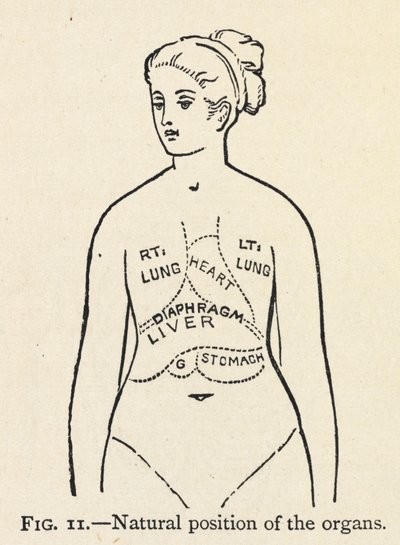 Natural Position of the Organs by Mary Eliza Haweis