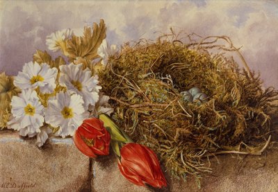 A Still Life of Blossom Tulips and a Bird