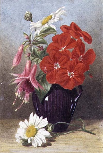 Geraniums and Fuchsias in Glazed Purple Jug by Mary Elizabeth Duffield