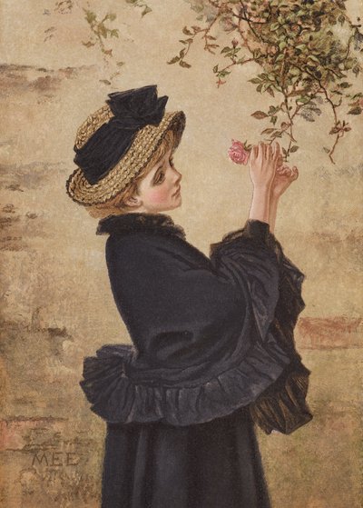 Left Blooming Alone by Mary Ellen Edwards