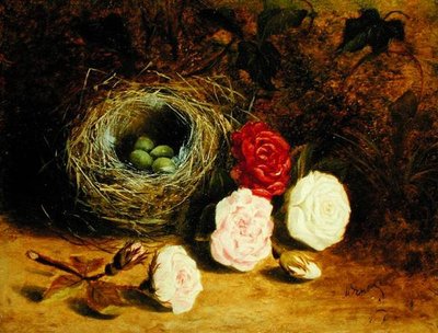 Still Life of Bird
