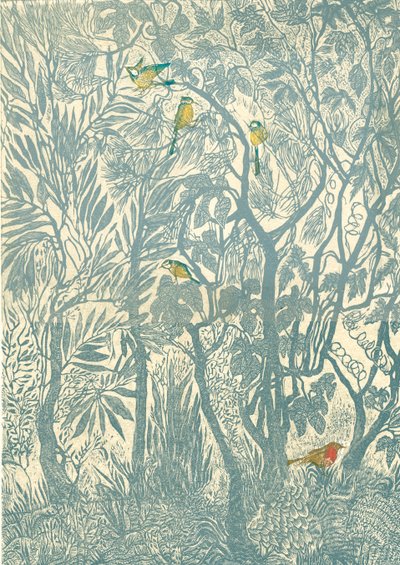 Bird Watching from the Kitchen Window: Robin by Mary Kuper