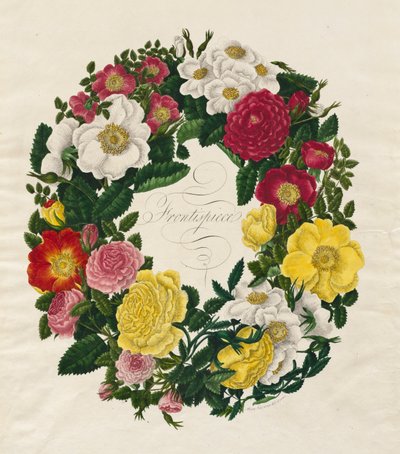 A Wreath of Roses by Mary Lawrence