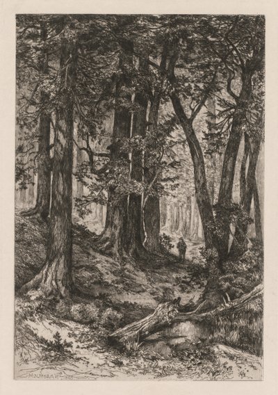 Interior of a California Forest after Thomas Moran by Mary Nimmo Moran
