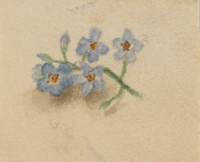Untitled, 1874 by Mary Vaux Walcott