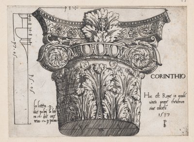 Speculum Romanae Magnificentiae: Corinthian capital by Master PS
