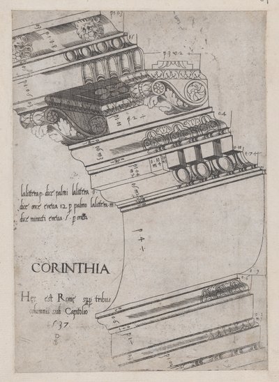 Speculum Romanae Magnificentiae: Entablature from the Temple of Vespasian, Rome, 1537 by Master PS