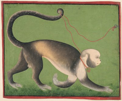 A Monumental Portrait of a Monkey by Master Stipple