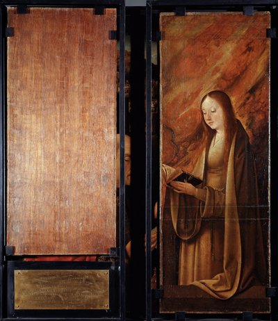 Adoration of the magi, closed panels by Master of Hoogstraten